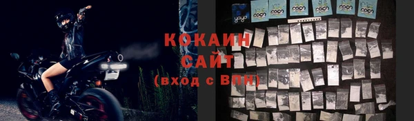 бошки Ельня