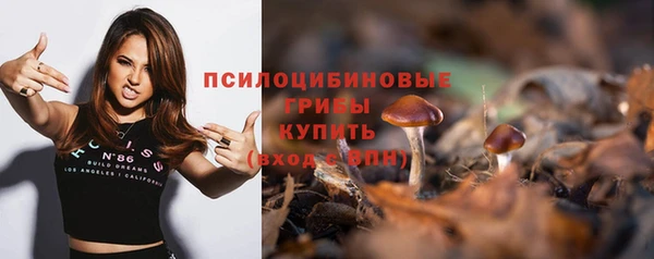 бошки Ельня