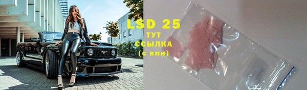 PSILOCYBIN Елабуга