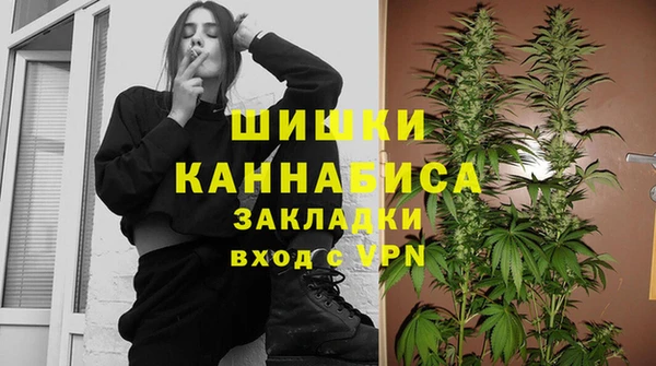 бошки Ельня