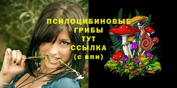 PSILOCYBIN Елабуга
