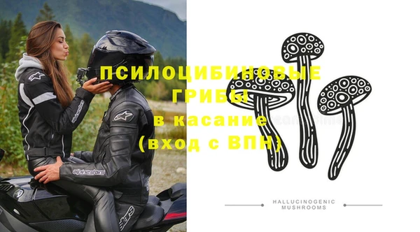 круглые Елизово