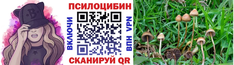 Галлюциногенные грибы прущие грибы  Купить где  Отрадное 